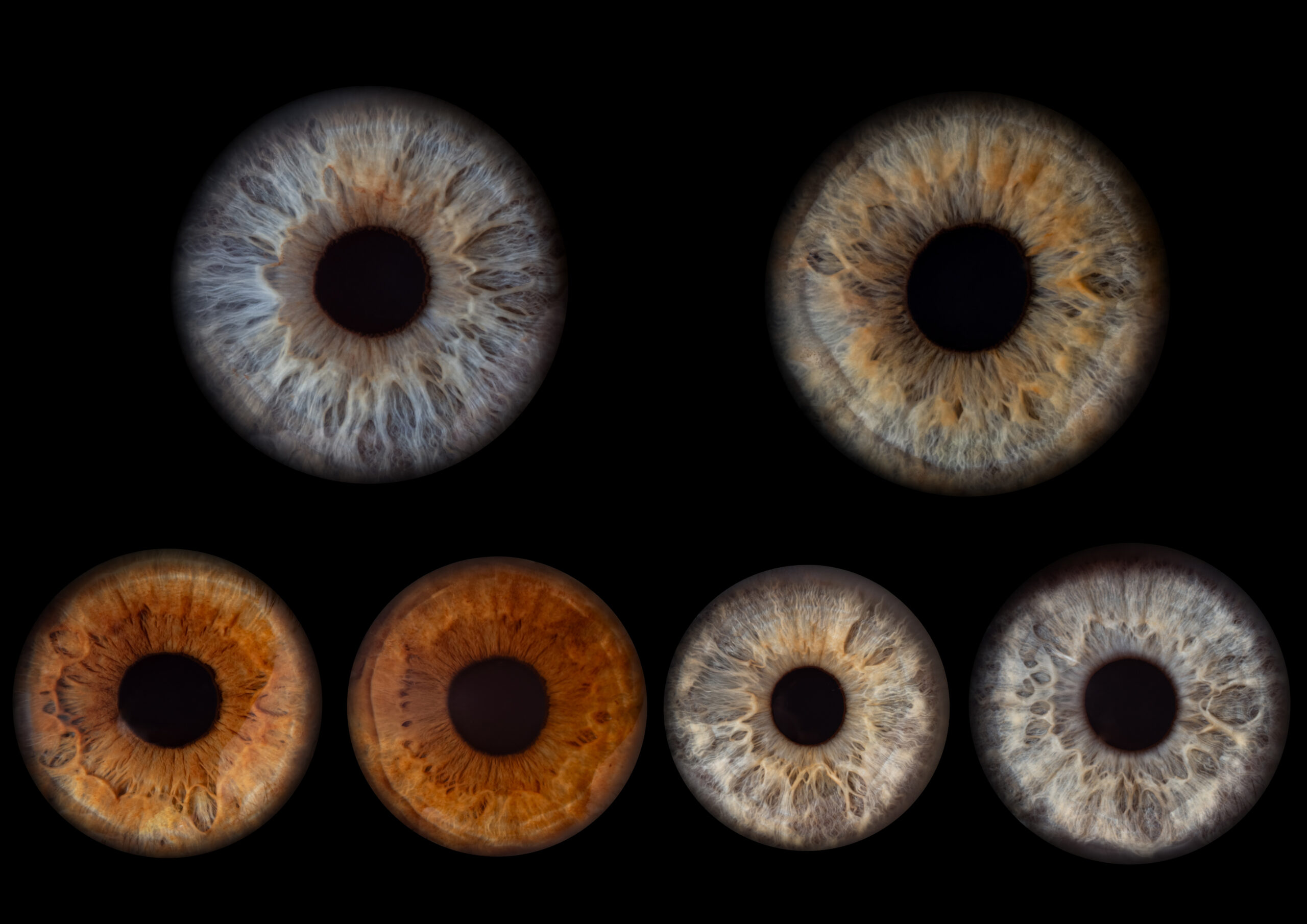Iris-Fotografie