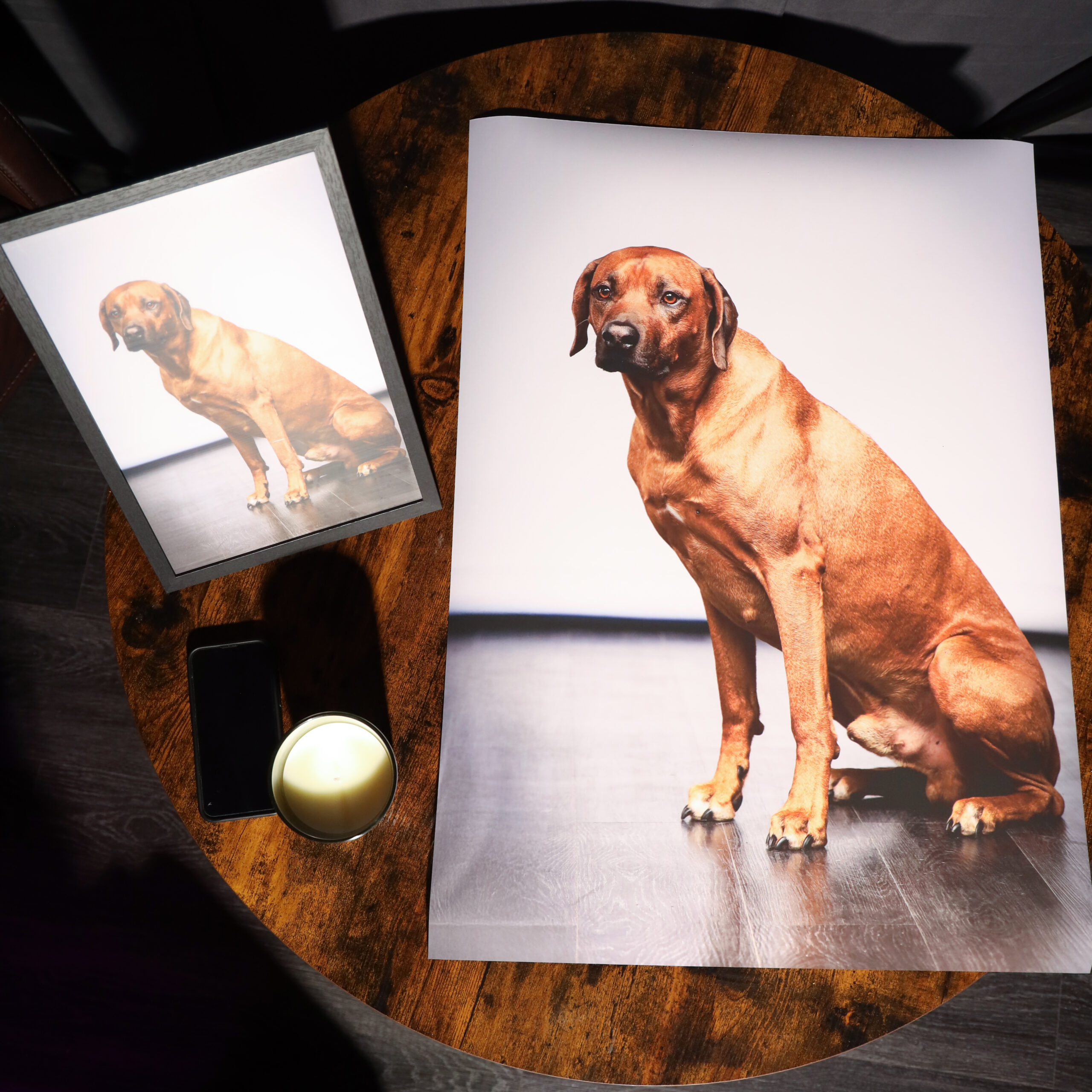 Hundefotografie-Fotodruck