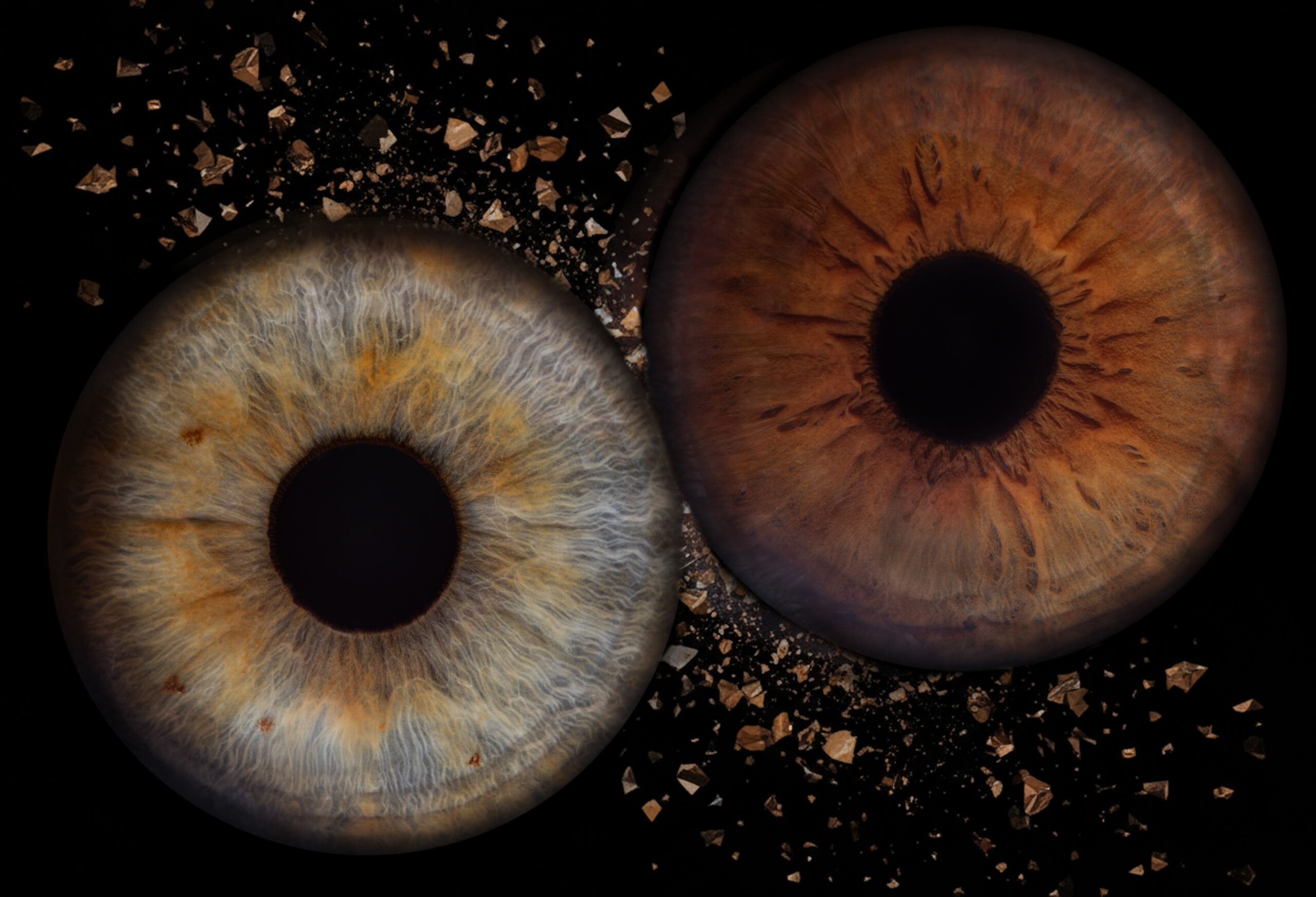 Iris-Foto-Paar - Fotostudio GRAF