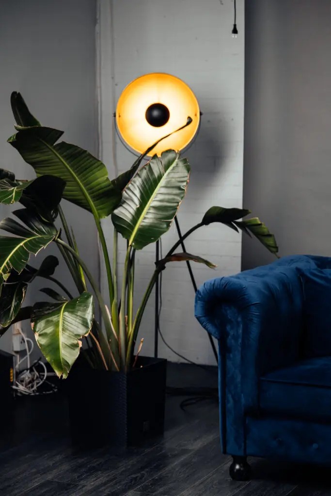 Studioeinrichtung - Fotostudio GRAF